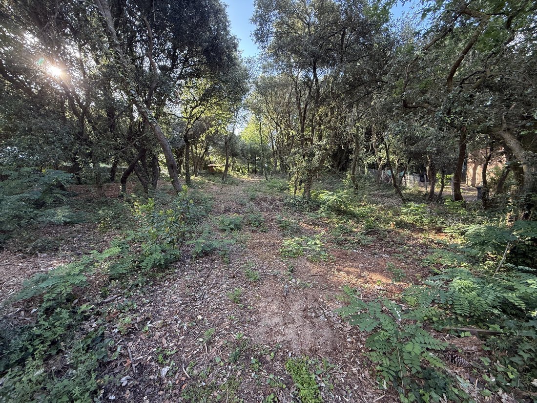 Land in Saint-Palais-sur-Mer, Nouvelle-Aquitaine, France 1 - 16125116