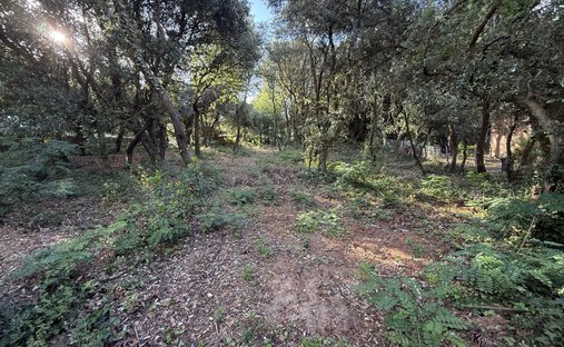 Land in Saint-Palais-sur-Mer, Nouvelle-Aquitaine, France 1