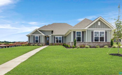 House in Madison, Alabama, United States 1