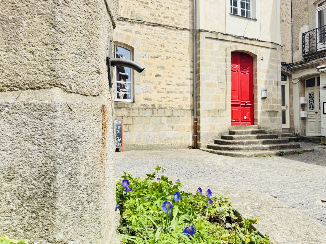 Apartment in Ouest Péri-Centre Ville, Vannes, France 1 - 18146062