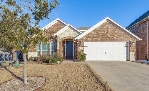 House in Little Elm, Texas, United States 1