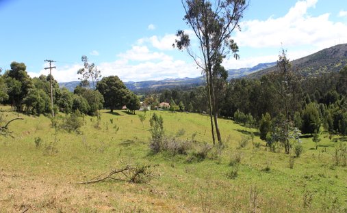 Land in Sesquilé, Cundinamarca, Kolumbien 1