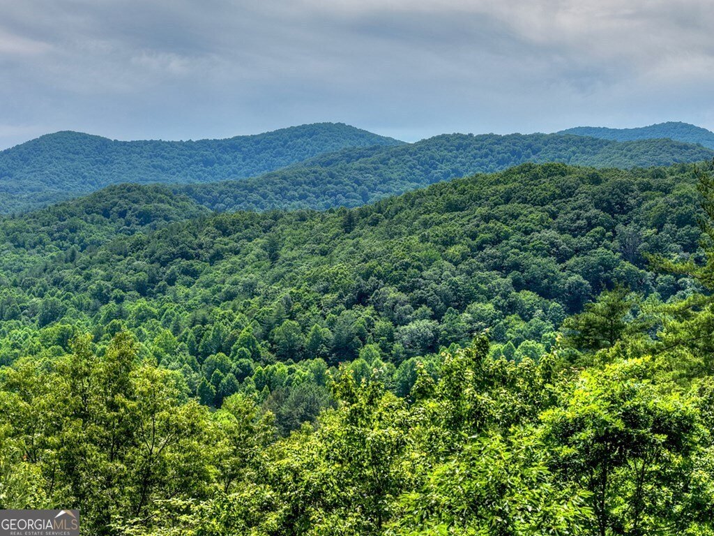House in Cherry Log, Georgia, United States 3 - 18145642