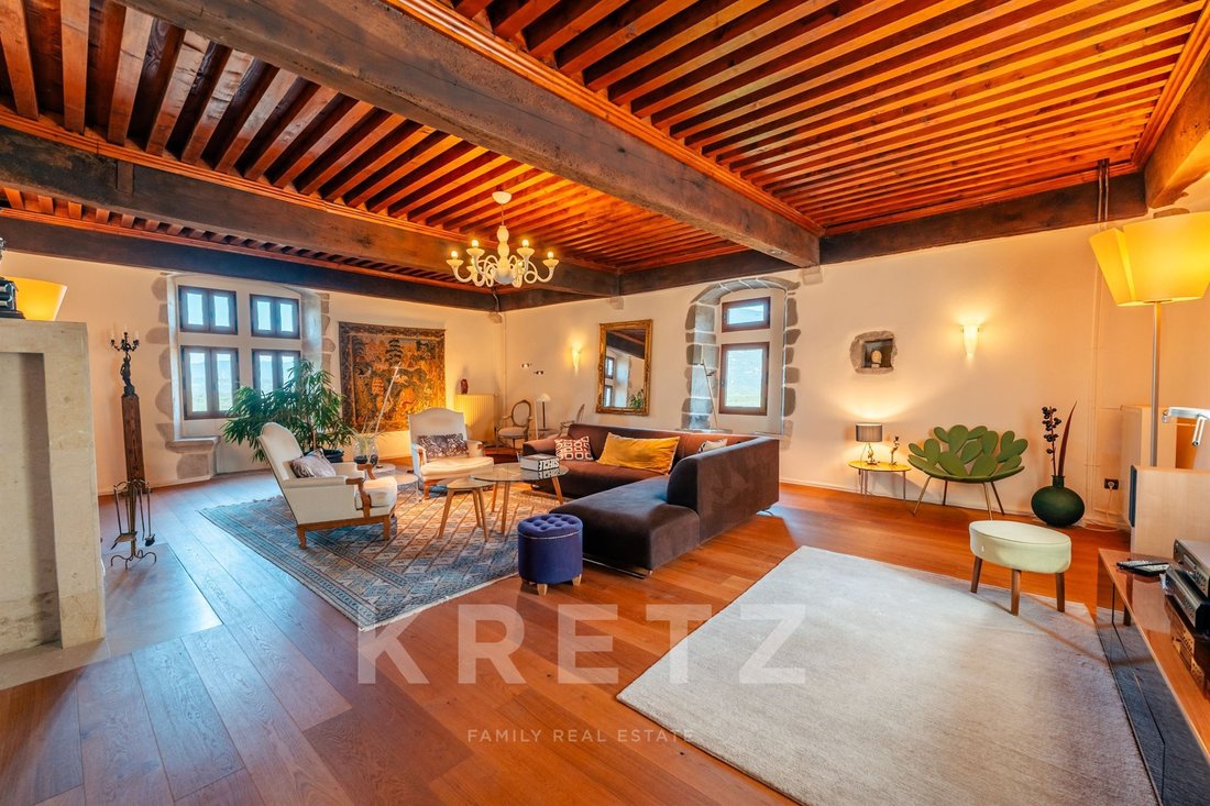 Castle in Ruffieux, Auvergne-Rhône-Alpes, France 3 - 18150368