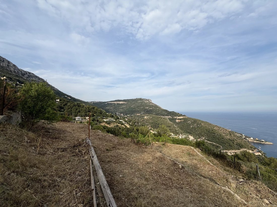 Land in Èze, Provence-Alpes-Côte d'Azur, France 3 - 18146635