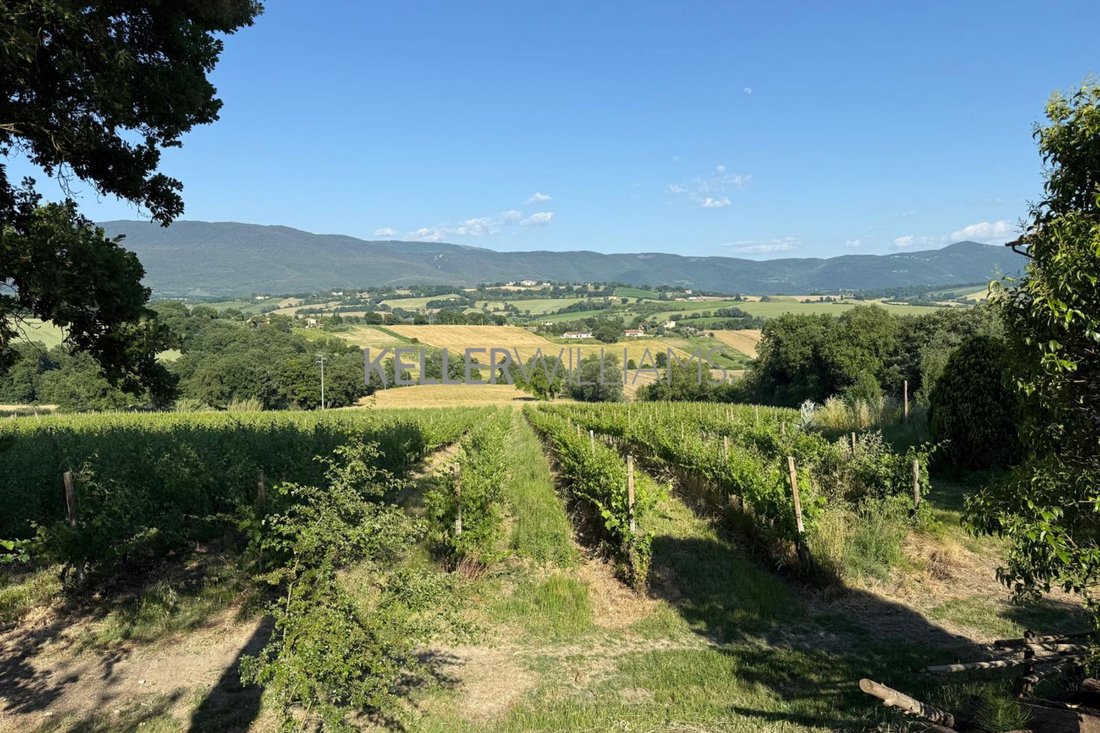 Land in Todi, Umbria, Italy 1 - 18133152