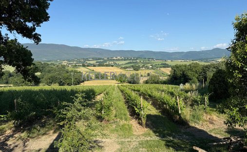 Land in Todi, Umbria, Italy 1