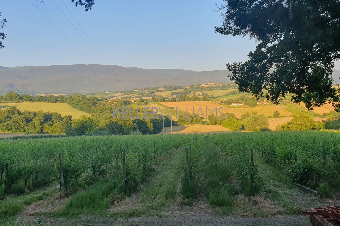 Land in Todi, Umbria, Italy 5 - 18133152