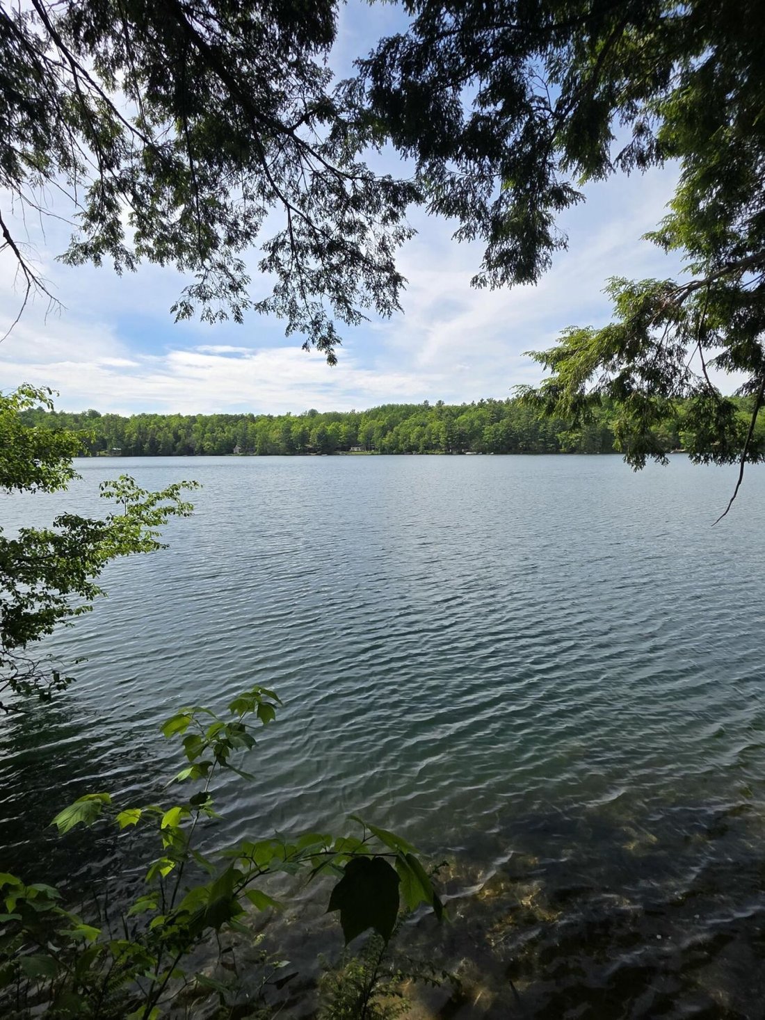House in Dedham, Maine, United States 3 - 18151030