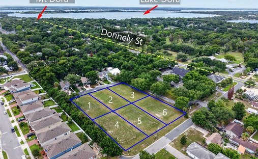 Land in Mount Dora, Florida, United States 1