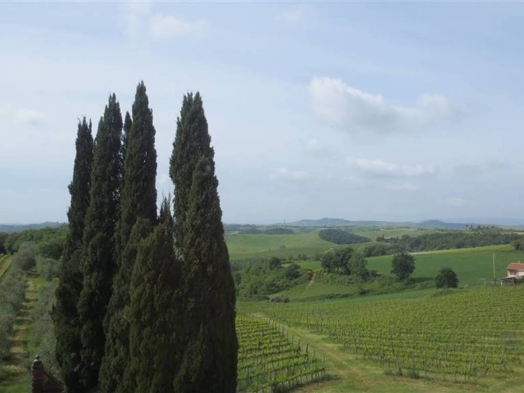 Villa in Castelnuovo Berardenga, Tuscany, Italy 4 - 18150317