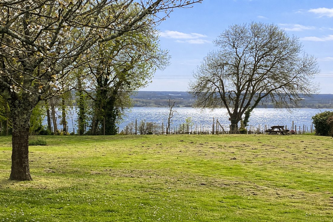 Villa in Bayon-sur-Gironde, Nouvelle-Aquitaine, France 2 - 18148722