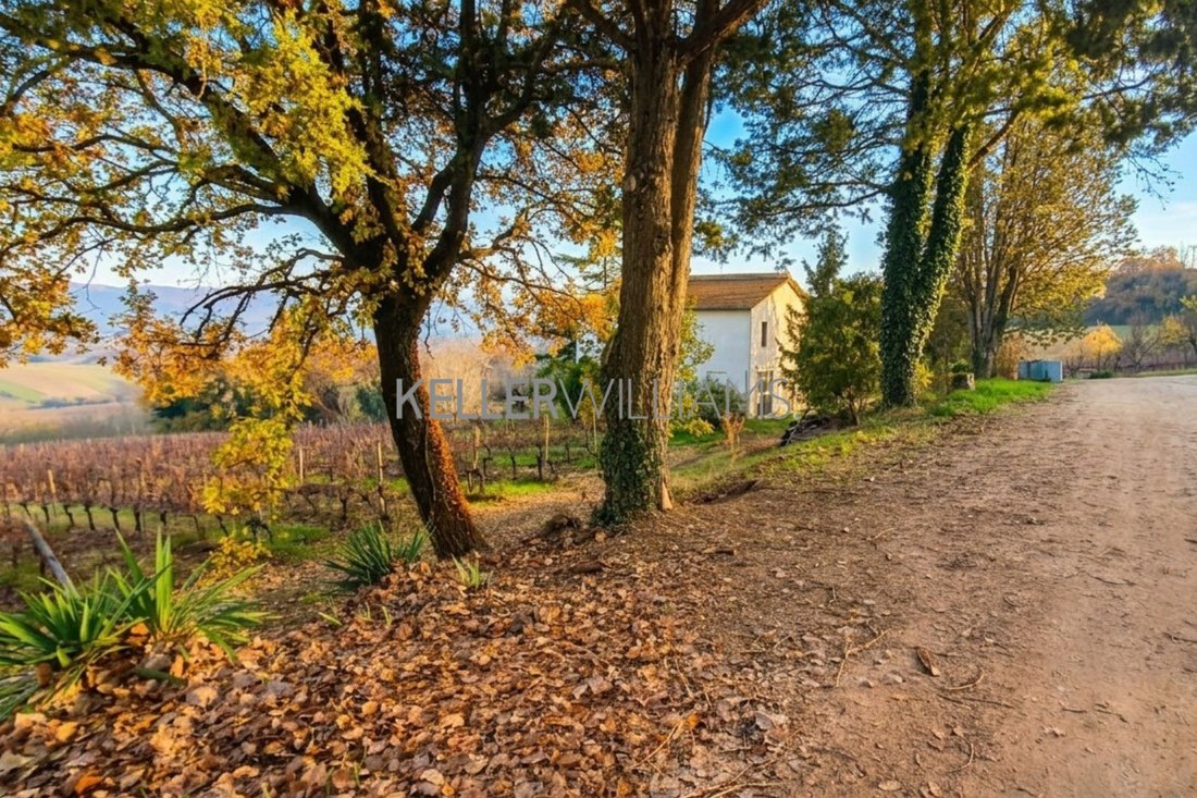 Land in Todi, Umbria, Italy 3 - 18133152