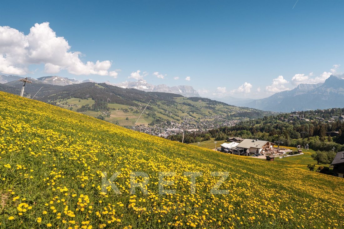 Apartment in Megève, Auvergne-Rhône-Alpes, France 2 - 18150371