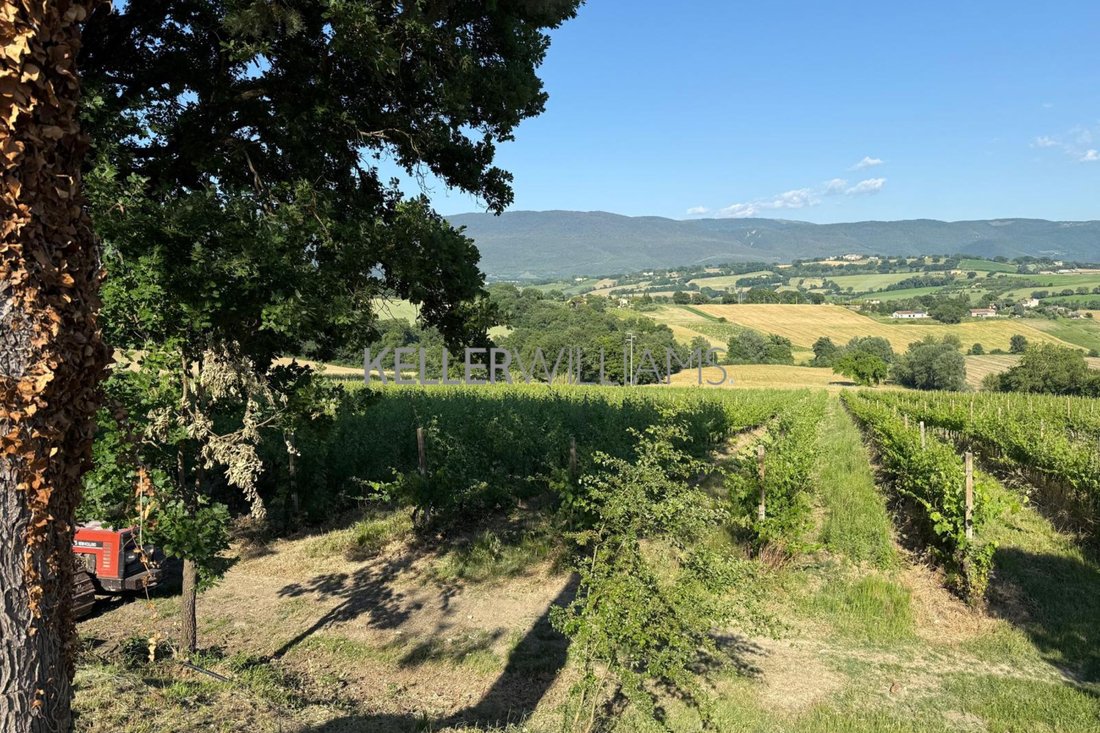 Land in Todi, Umbria, Italy 2 - 18133152