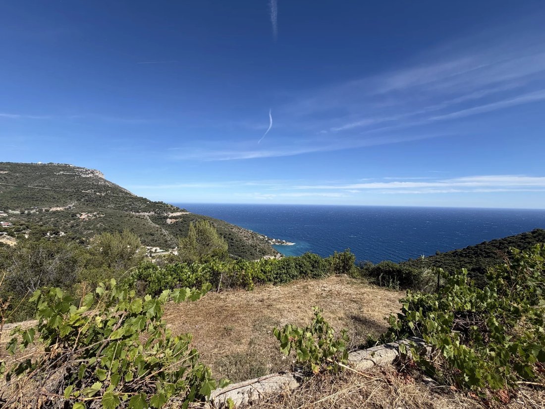 Land in Èze, Provence-Alpes-Côte d'Azur, France 2 - 18146635