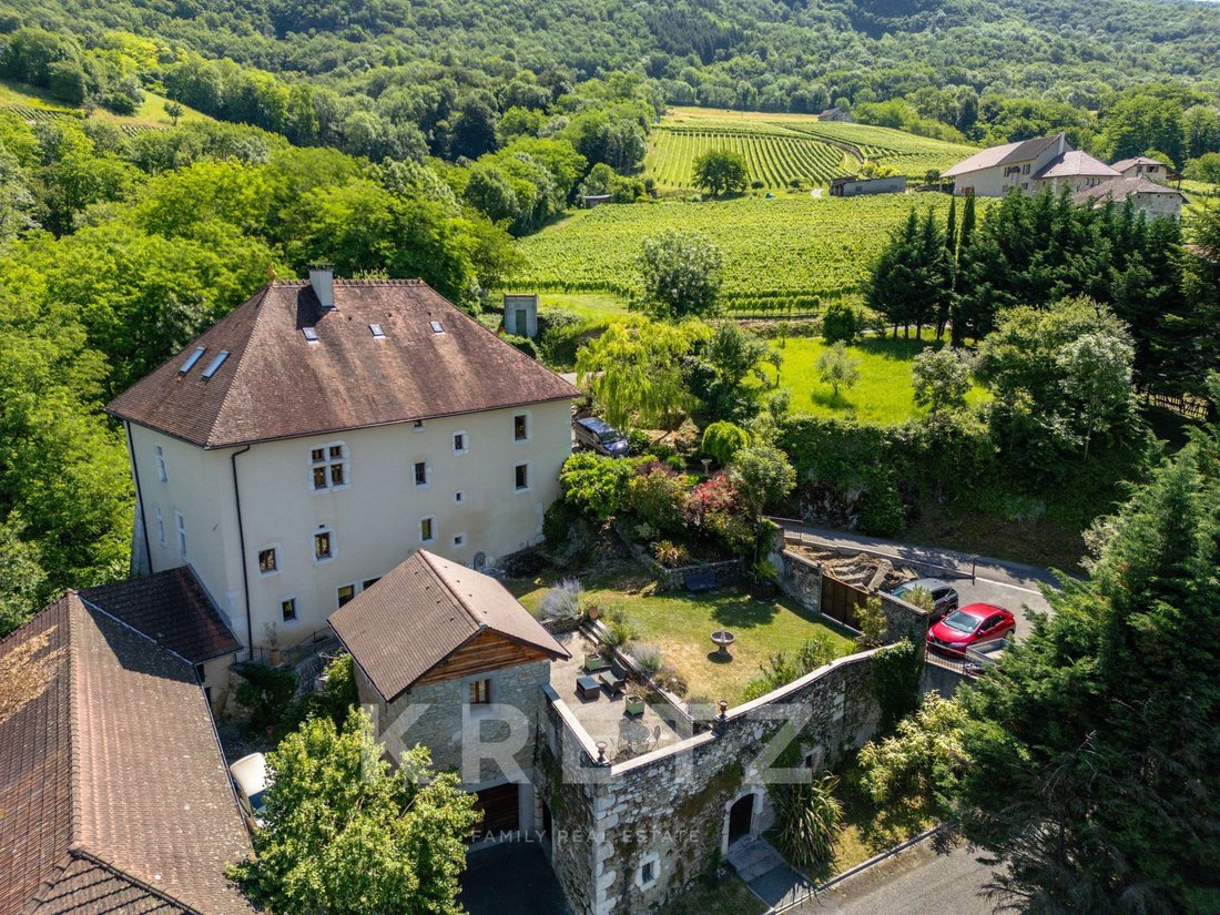 Castle in Ruffieux, Auvergne-Rhône-Alpes, France 1 - 18150368