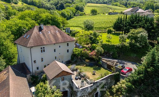 Castle in Ruffieux, Auvergne-Rhône-Alpes, France 1