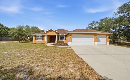 House in South Brooksville, Florida, United States 1