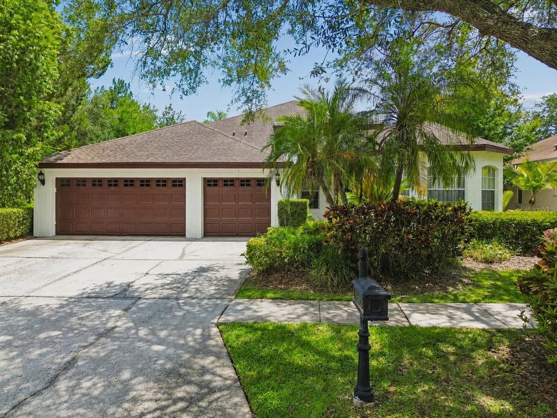 House in Tampa, Florida, United States 1 - 18148580