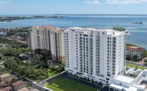 House in Tampa, Florida, United States 1