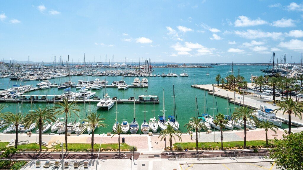 Apartment in Palma, Balearic Islands, Spain 1 - 18150340