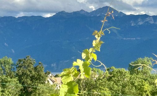Wohnung in Lutry, Waadt, Schweiz 1