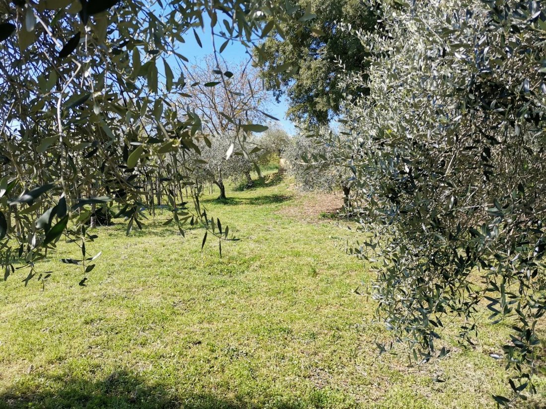 Country House in Colle di Val d'Elsa, Tuscany, Italy 2 - 18150299