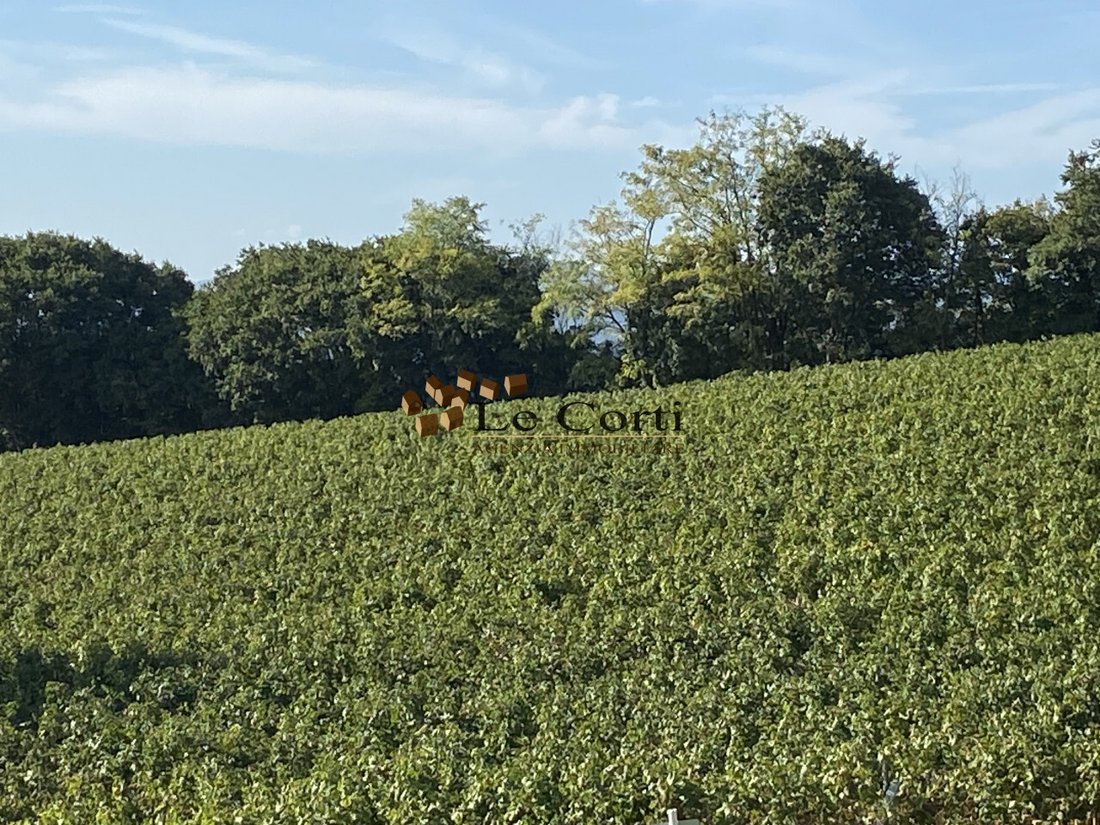 Land in Lonigo, Veneto, Italy 5 - 18150827