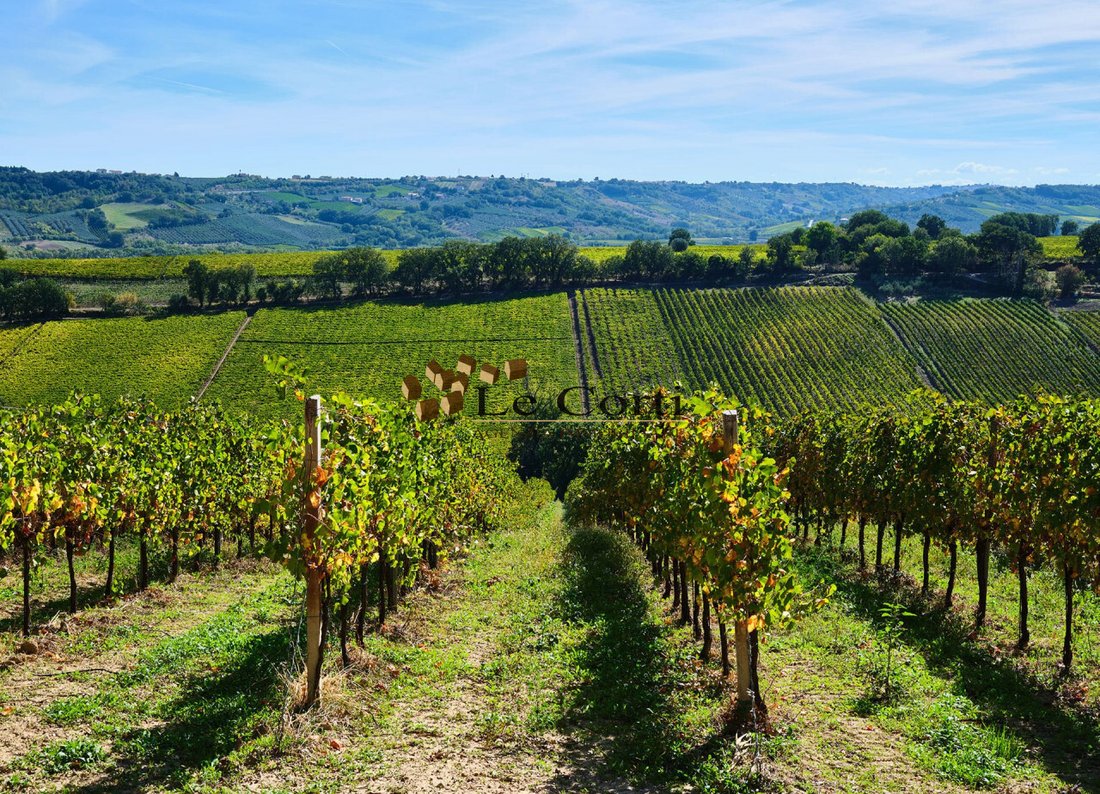 Land in Lonigo, Veneto, Italy 4 - 18150827