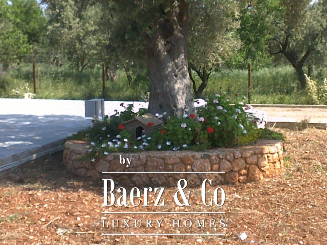 Villa in Eretria, Thessaly and Central Greece, Greece 3 - 18153049