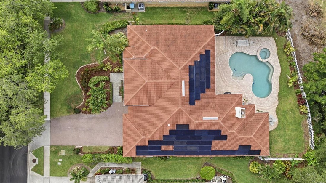 House in Palm Harbor, Florida, United States 3 - 18152140
