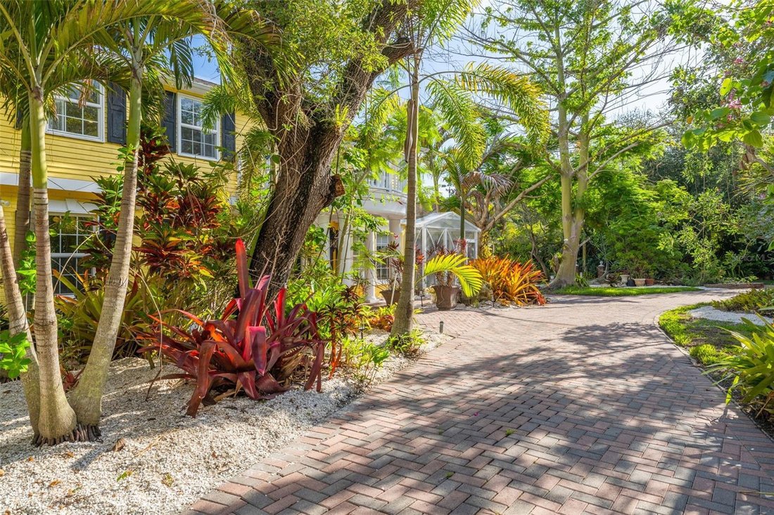 House in Dunedin, Florida, United States 5 - 18152128