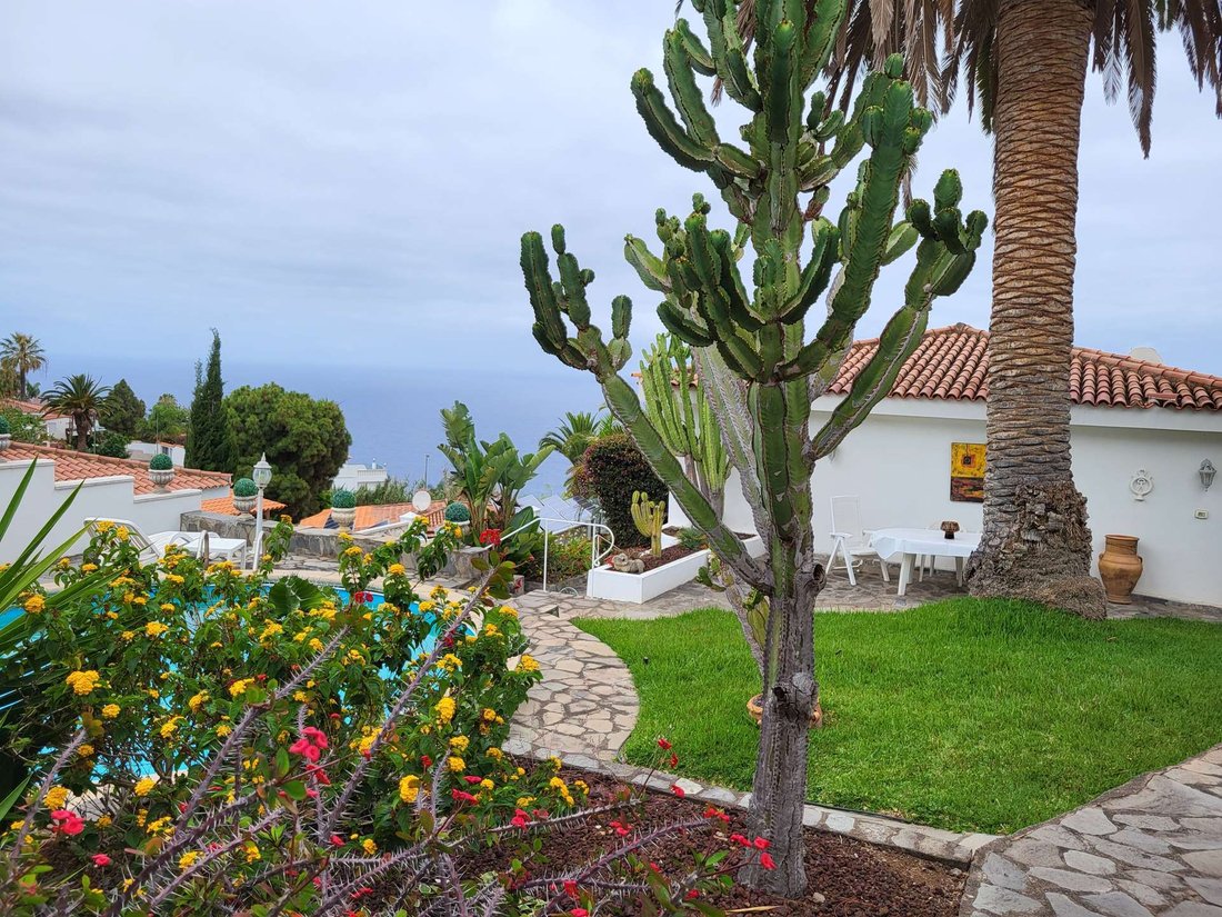 Villa in El Sauzal, Canary Islands, Spain 1 - 18152199