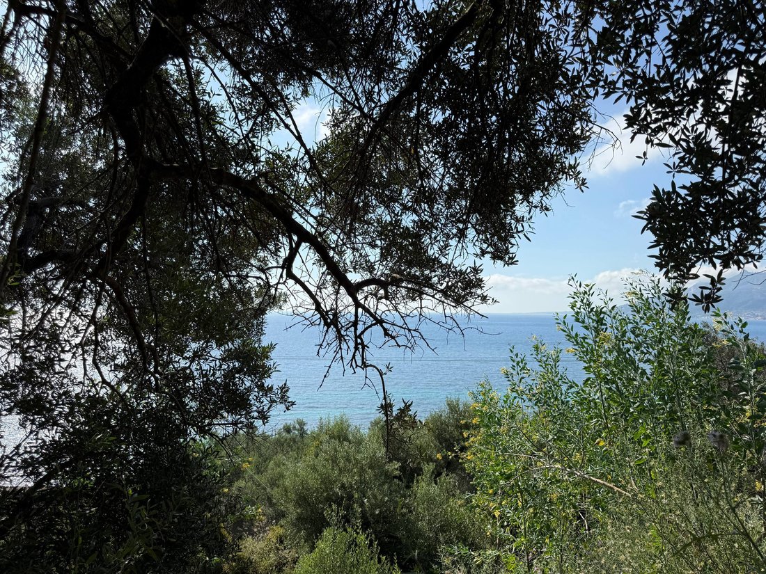 Land in Municipal Commune of Zakynthos, Peloponnese, Western Greece and the Ionian, Greece 4 - 18153050