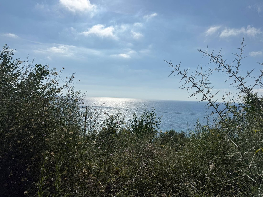 Land in Municipal Commune of Zakynthos, Peloponnese, Western Greece and the Ionian, Greece 3 - 18153050