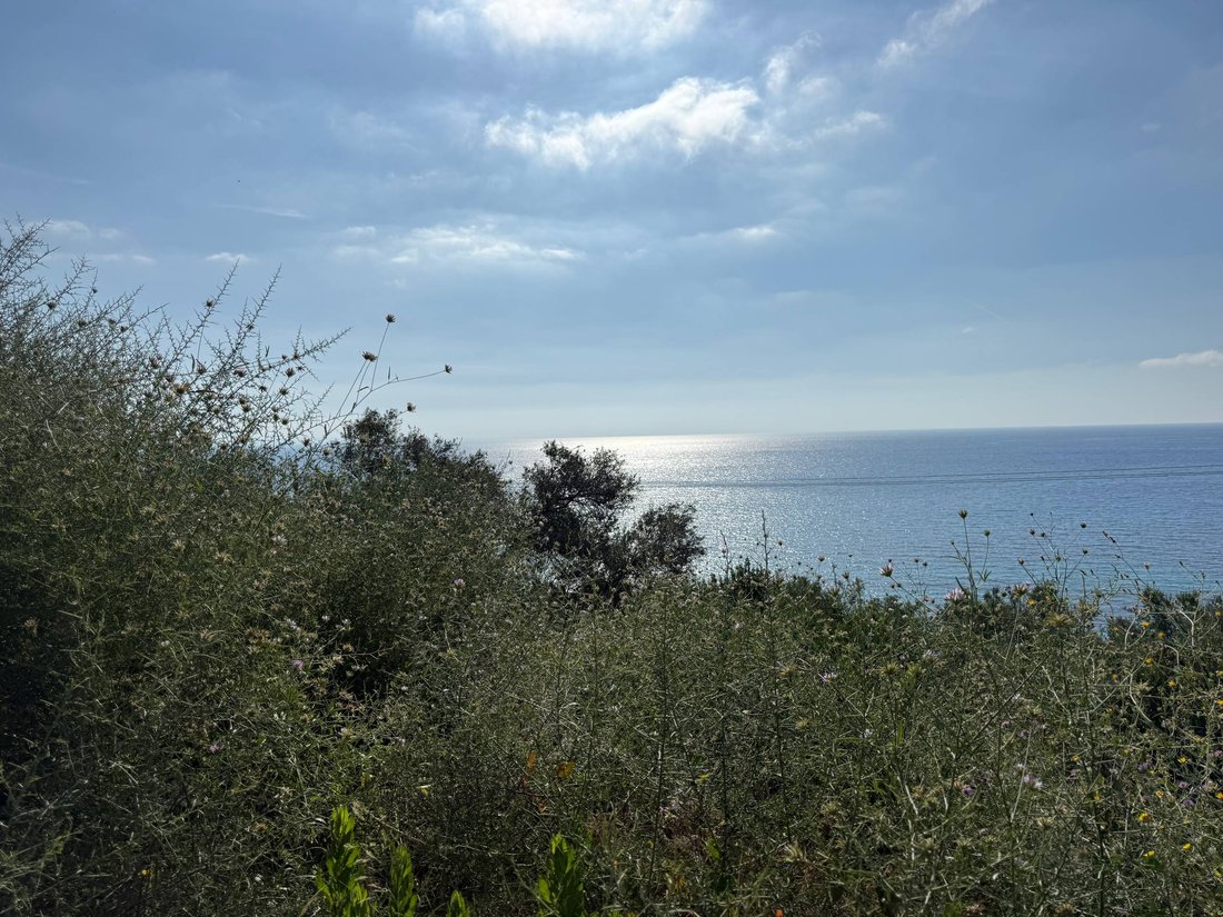 Land in Municipal Commune of Zakynthos, Peloponnese, Western Greece and the Ionian, Greece 5 - 18153050