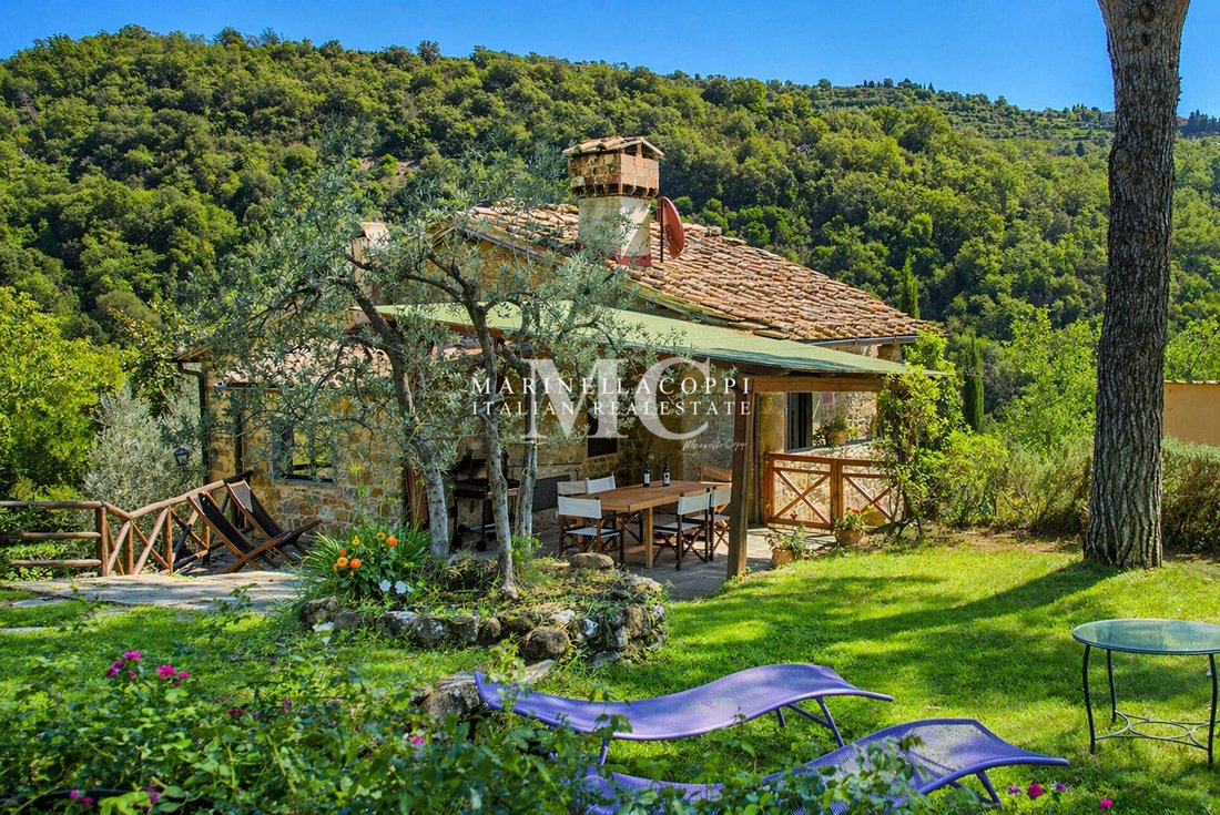 Farm Ranch in Center, Greve in Chianti, Tuscany 1 - 17431652