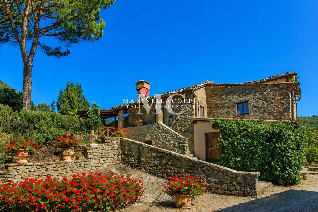 Farm Ranch in Center, Greve in Chianti, Tuscany 2 - 17431652
