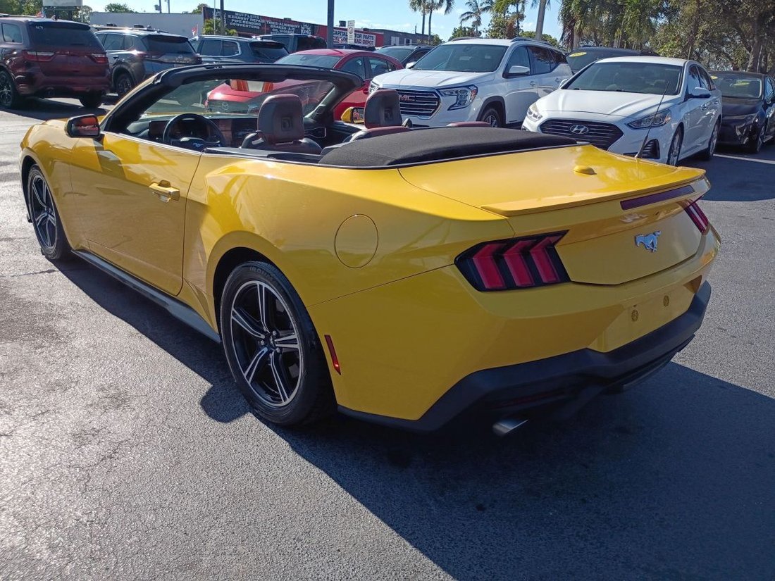 Cabriolet in Davie, FL, United States 5 - 18153502