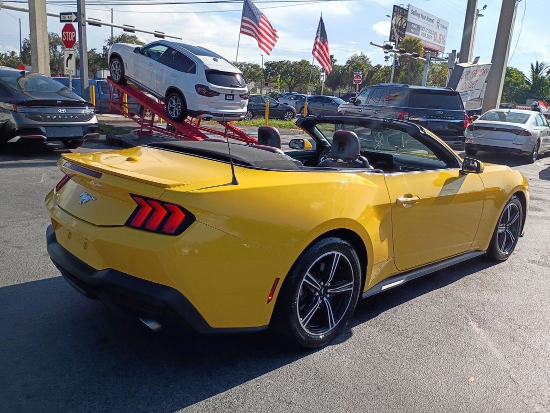 Cabriolet in Davie, FL, United States 4 - 18153502