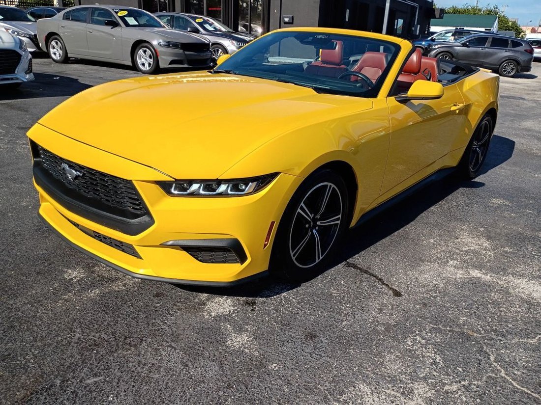 Cabriolet in Davie, FL, United States 1 - 18153502
