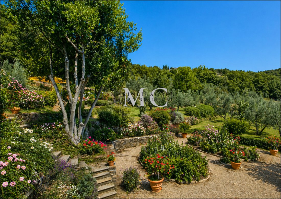 Farm Ranch in Center, Greve in Chianti, Tuscany 3 - 17431652