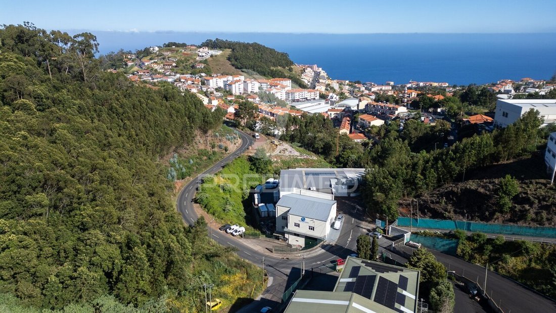 Land in Reed, Madeira, Portugal 4 - 18153258