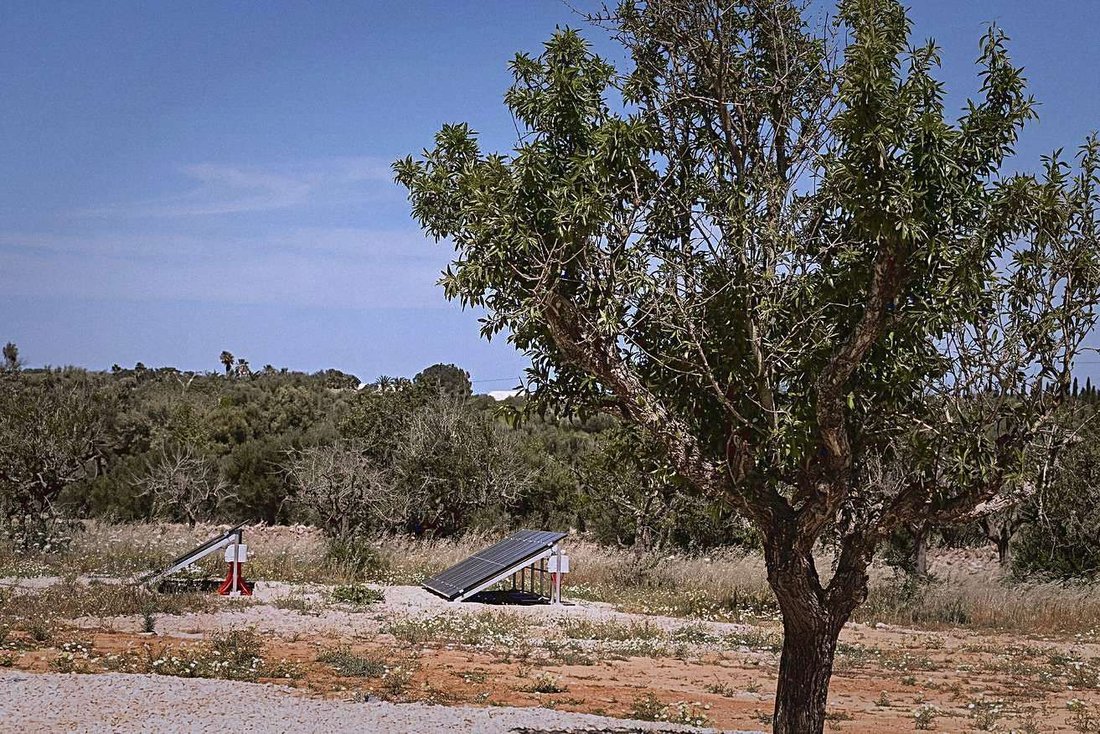 Villa in ses Salines, Balearic Islands, Spain 5 - 18153659