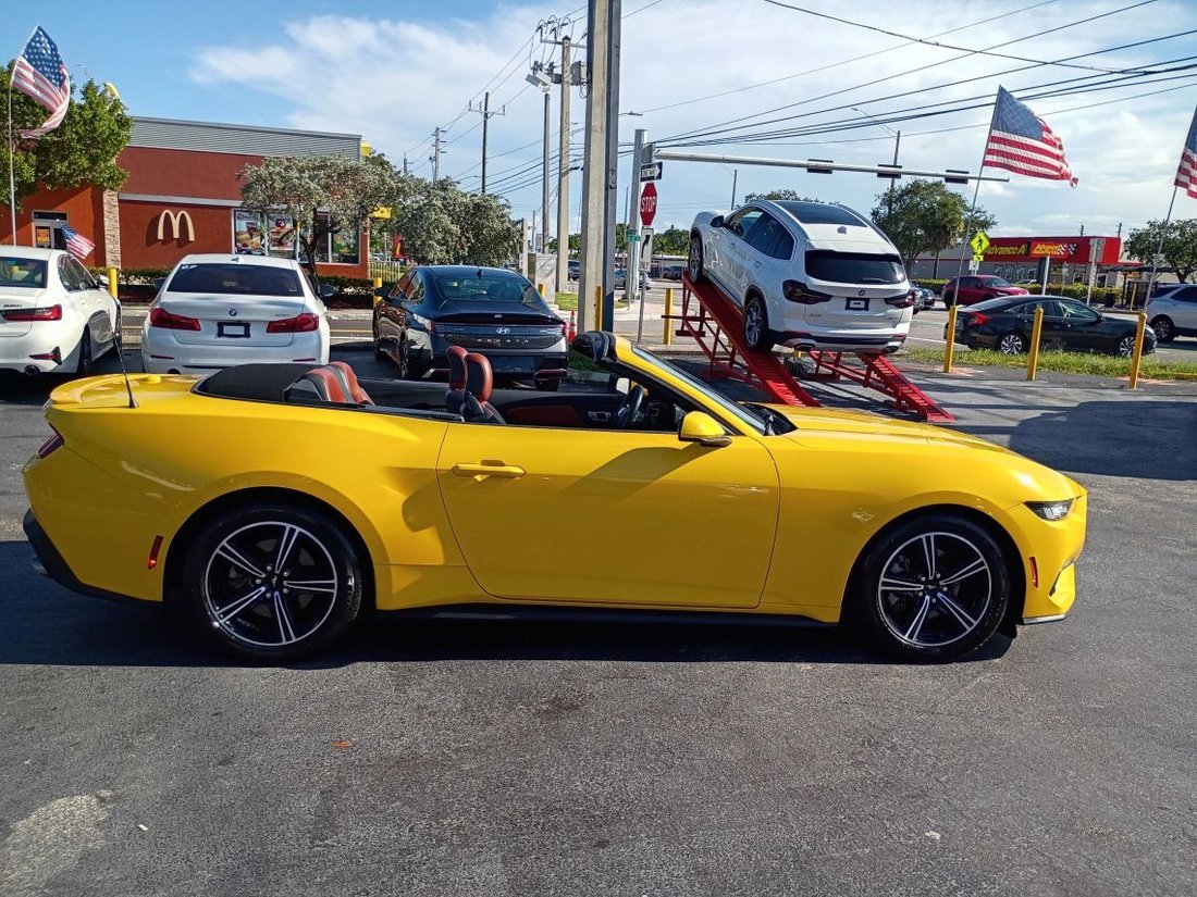Cabriolet in Davie, FL, United States 3 - 18153502