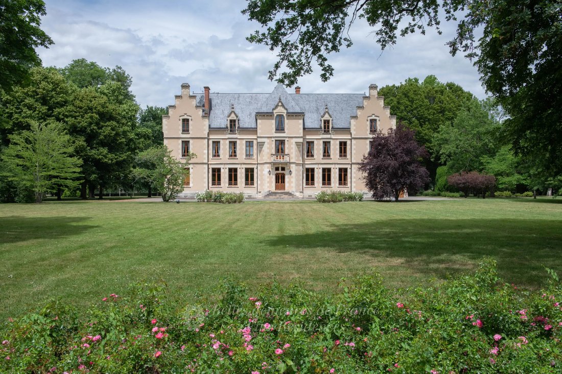 Castle in Sancoins, Centre-Val de Loire, France 3 - 17223192