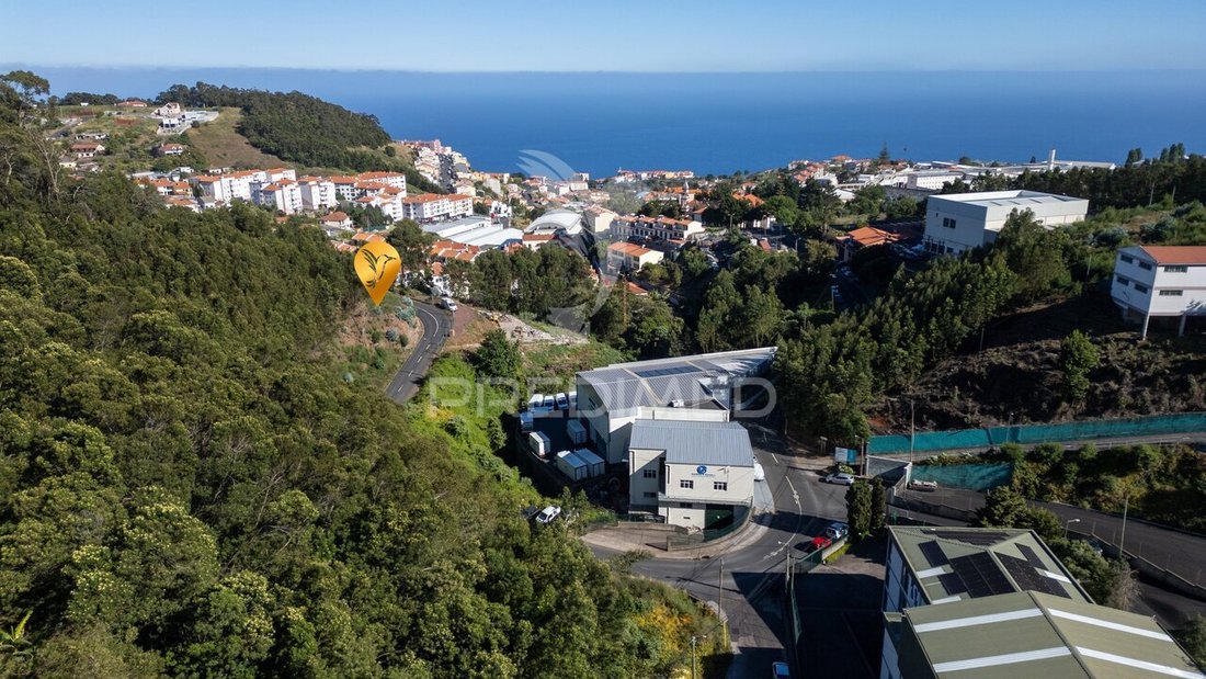 Land in Reed, Madeira, Portugal 5 - 18153258