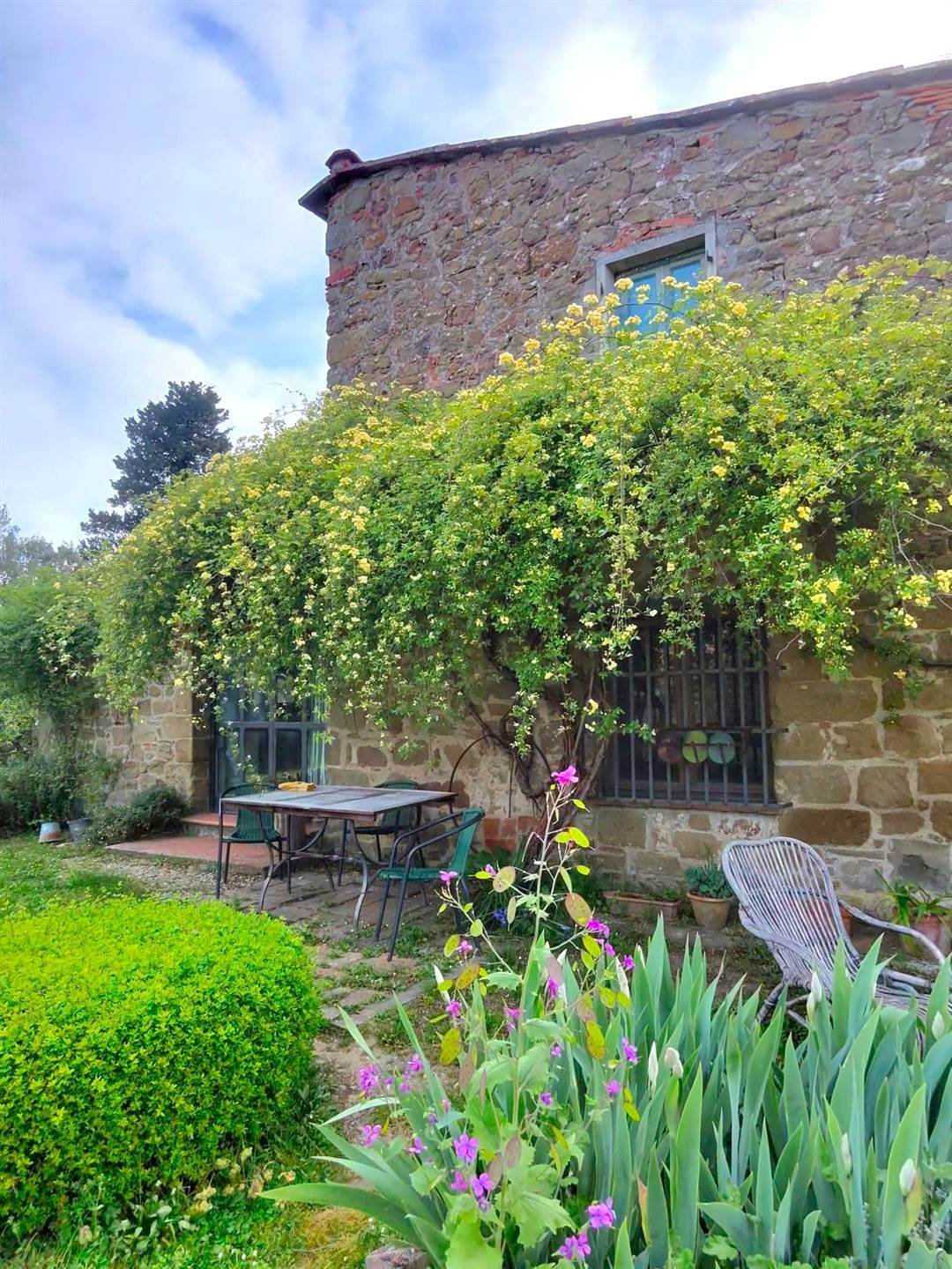 Farm Ranch in Center, Greve in Chianti, Tuscany 5 - 17384231