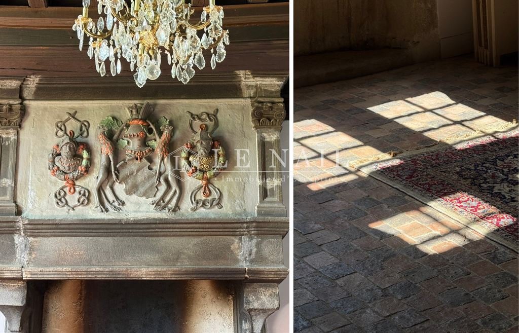 Castle in Pillerie-Bootz, Laval, Pays de la Loire 5 - 18153356